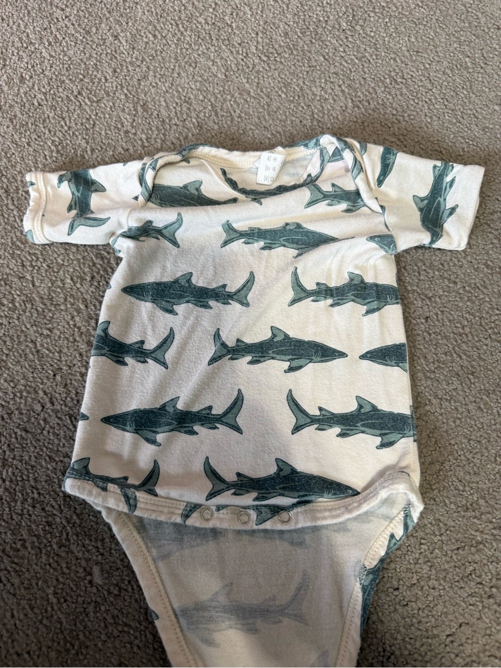 kate quinn Cream One-Piece Bodysuit with Teal Shark Print